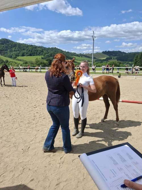 950b18ff-00d3-441c-b1cb-9522a6ce7046